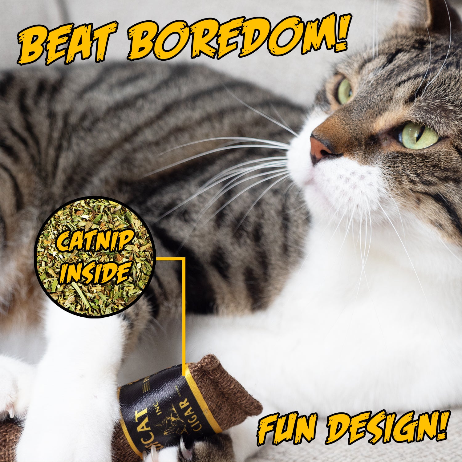 Cigar Catnip Toy